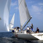 sailing-800831_1920