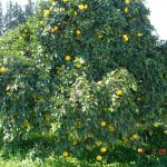 DSC02673-min