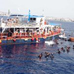 zenobia.divers
