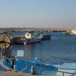 DSC05338-min