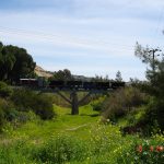 Kalavasos train